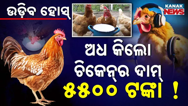 ଚିକେନ୍‌ର ମୂଲ୍ୟ ଶୁଣିଲେ ଉଡ଼ିବ ହୋସ୍‌    