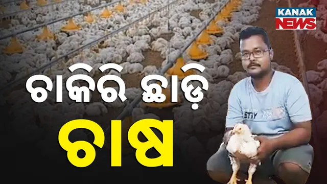 ବ୍ୟାଙ୍କ ମ୍ୟାନେଜରରୁ କୁକୁ଼ଡ଼ା ଚାଷୀ