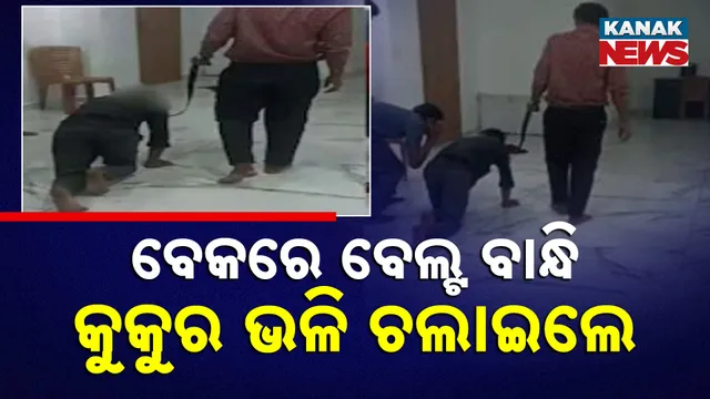 ବେକରେ ବାନ୍ଧି କୁକୁର ଭଳି ଚଲାଇଲେ  