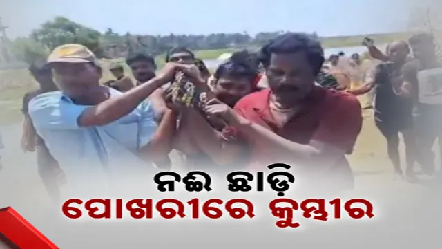 ନଈ ଛାଡ଼ି ପୋଖରୀରେ କୁମ୍ଭୀର 