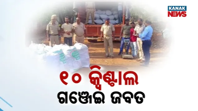 ୧୦ କ୍ବିଣ୍ଟାଲ ଗଞ୍ଜେଇ ଜବତ