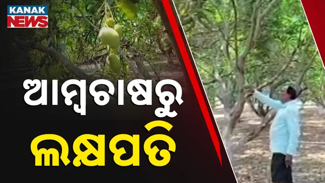 ଆମ୍ବଚାଷରୁ ଲକ୍ଷପତି