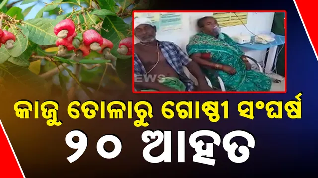 କାଜୁ ତୋଳାରୁ ଗୋଷ୍ଠୀ ସଂଘର୍ଷ