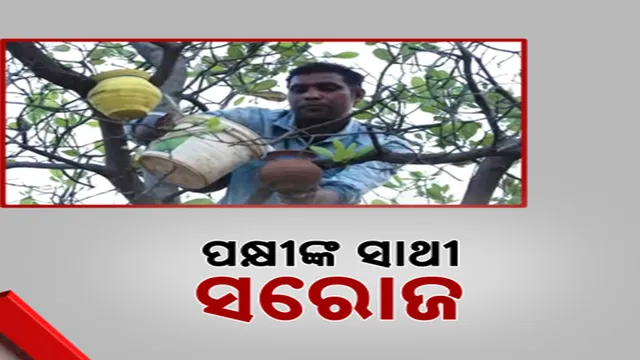 ZþòþZòZþZþ