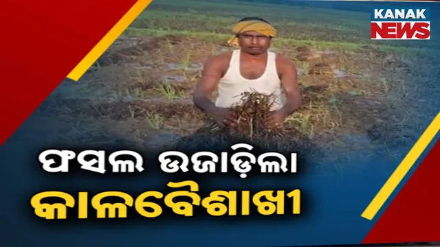 24-Thunderstorm Rain