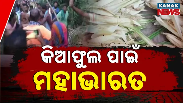 କିଆଫୁଲ ପାଇଁ ଖଣ୍ଡଯୁଦ୍ଧ