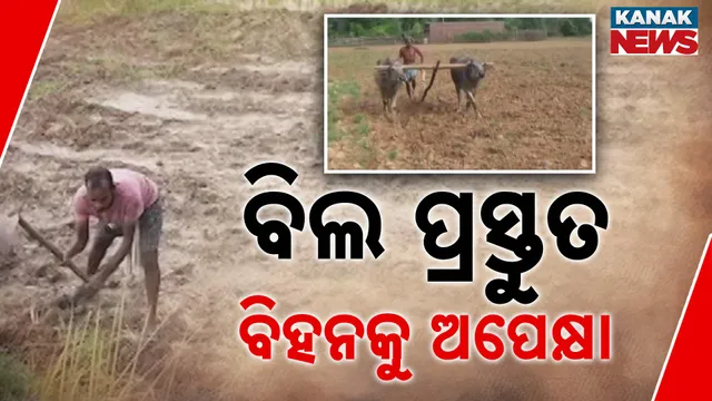 ବିଲ ପ୍ରସ୍ତୁତ, ବିହନକୁ ଅପେକ୍ଷା