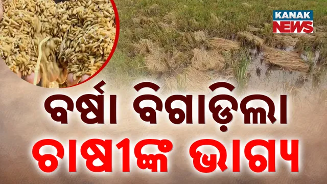  ଉଜୁଡ଼ିଲା ଚାଷୀଙ୍କ ଭାଗ୍ୟ