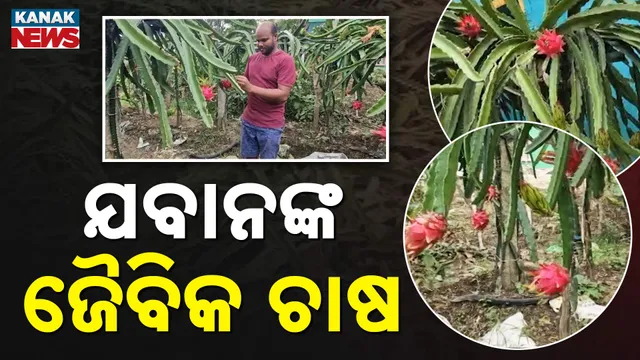 Ex Army Man Doing Farming 