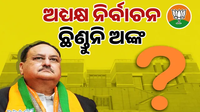 BJP ELECTION POLITICS