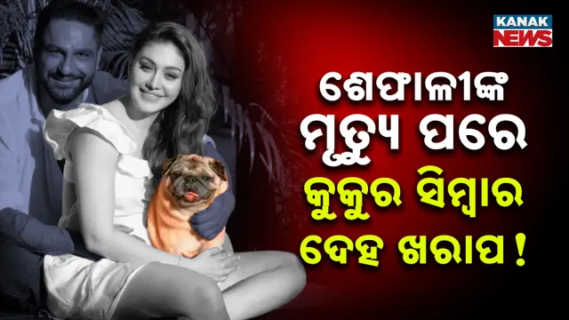 କୁକୁର ସିମ୍ବାର  ଦେହ ଖରାପ !