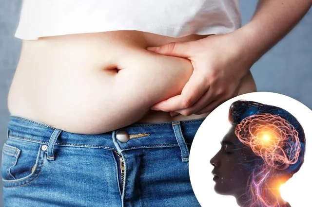 Belly Fat Mental Health