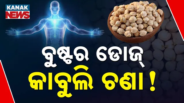 ବୁଷ୍ଟର ଡୋଜ୍‌ କାବୁଲି ଚଣା