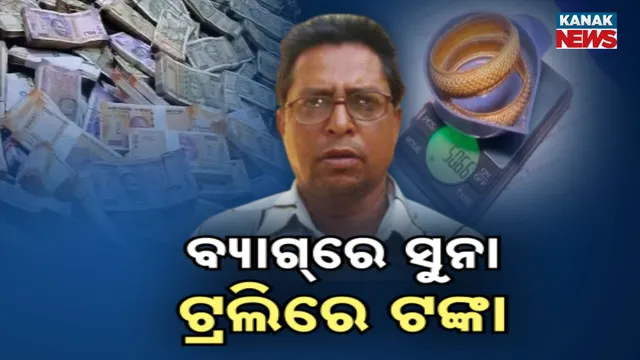 Forest Officer Owns Hundreds Of Plots