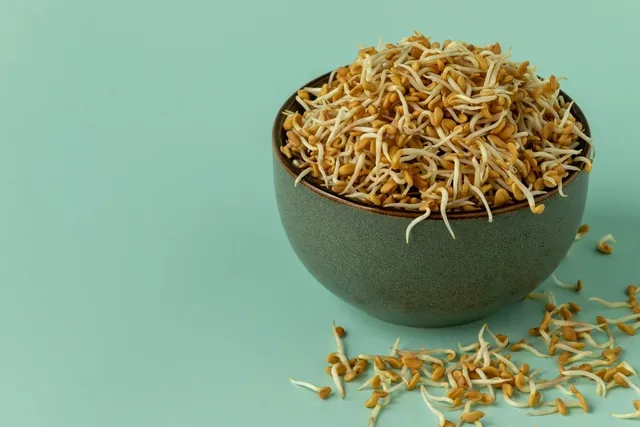 shutterstock_2422530615-1