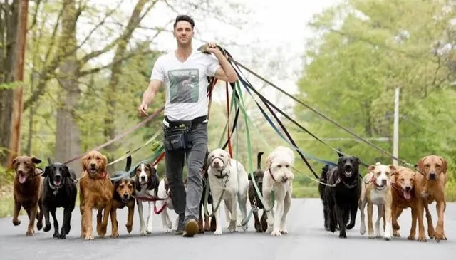 dog walker