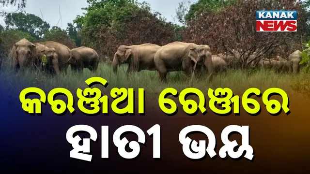 Karanjia Forest Range