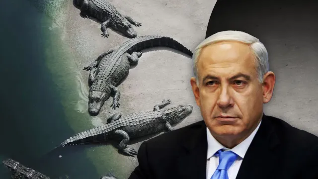 israel-crocodiles