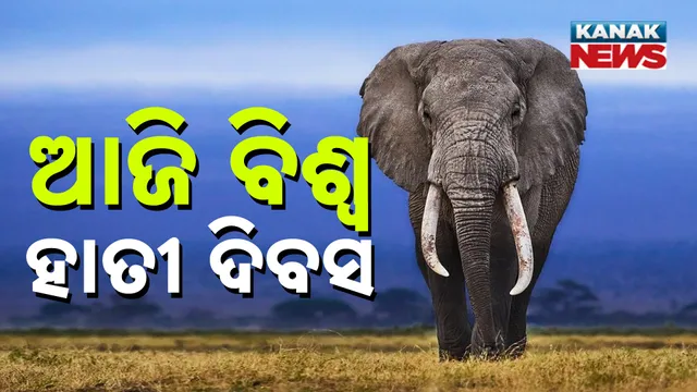 world elephant day 2025