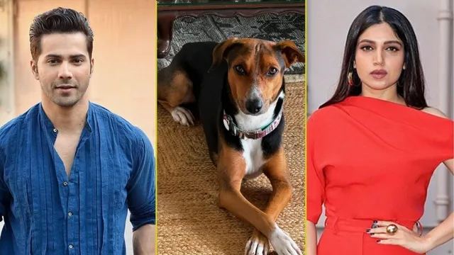 celebs-reaction-on-sc-verdict