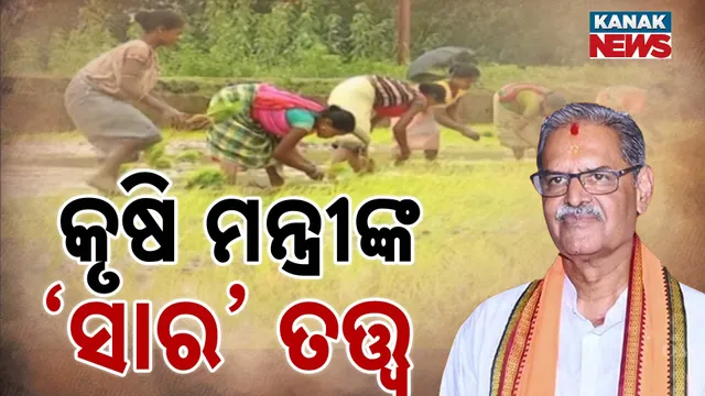 7PM2 - KV Fertilizer