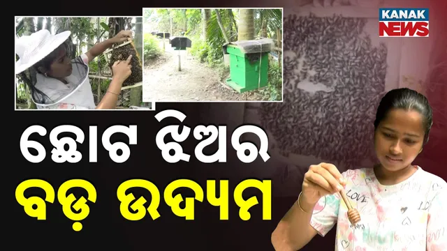 ଛୋଟ ଝିଅର ବଡ଼ ଉଦ୍ୟମ