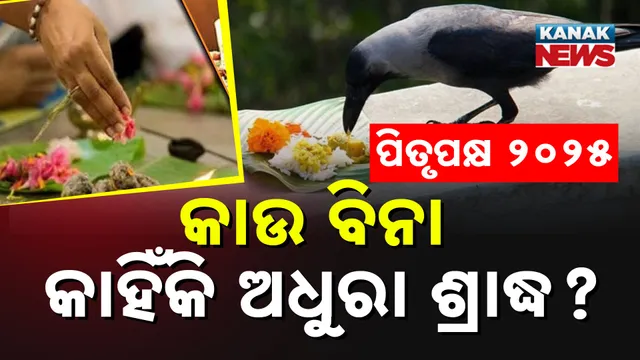 କାଉକୁ ପିତୃପୁରୁଷଙ୍କ ପ୍ରତୀକ କାହିଁକି ମାନନ୍ତି?