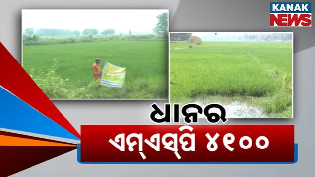 ଧାନର ଏମ୍ଏସ୍‌ପି ୪୧୦୦