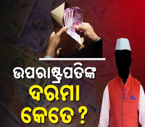 vice president of India