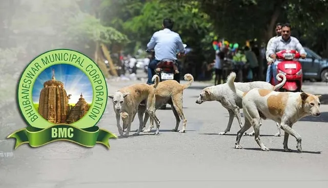 ରାଜଧାନୀରେ କୁକୁର ଗଣନା