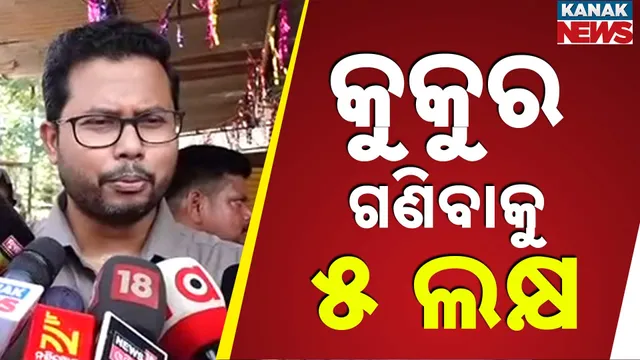 କୁକୁର ଗଣତି