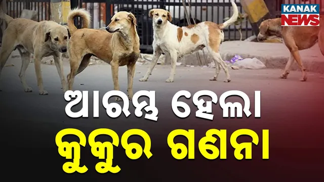 ଆରମ୍ଭ ହେଲା କୁକୁର ଗଣନା