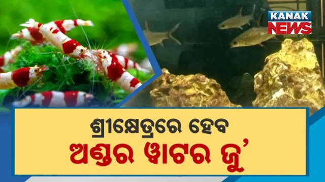 26Puri to Get World-Class Marine Aquarium