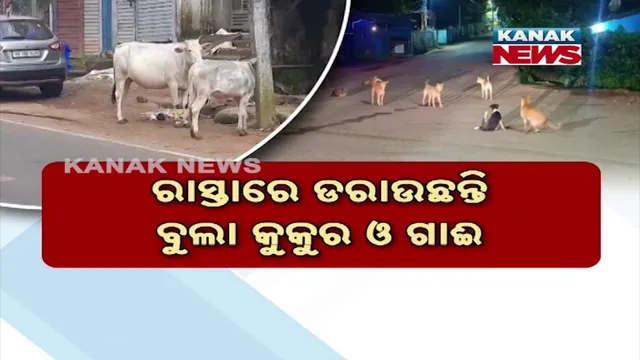 vlcsnap-2025-10-08-18h28m58s087