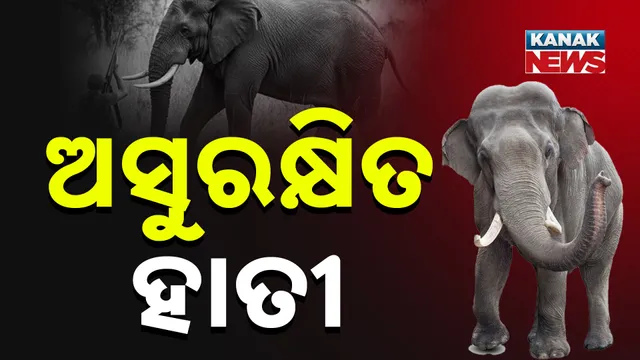 ଜାତୀୟ ରାଜପଥରେ ଭୟଙ୍କର ଜାମ୍