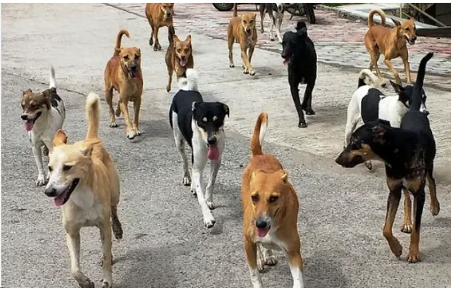 Screenshot 2025-10-08 110650