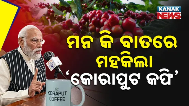 Koraput coffee  333