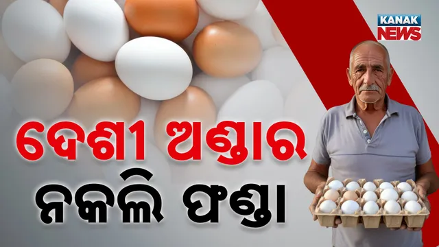 12.Duplicate Egg (Sibani)_thumb