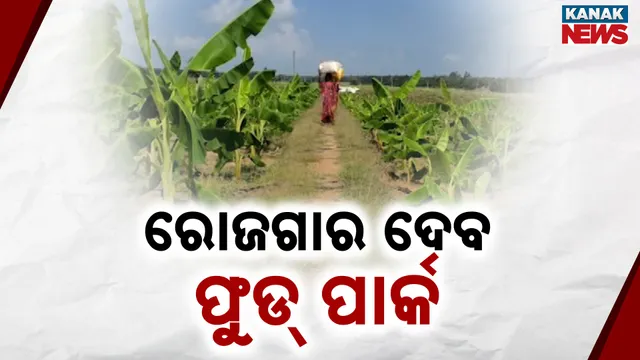 Industrial Food Park