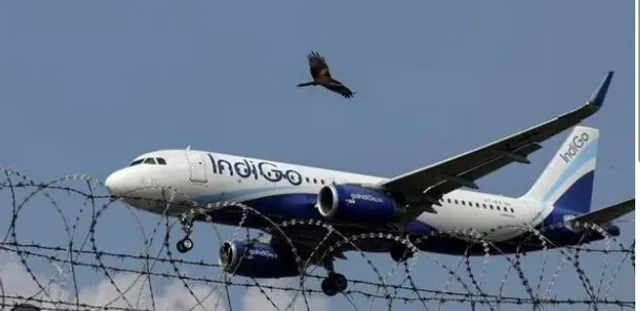 INDIGO