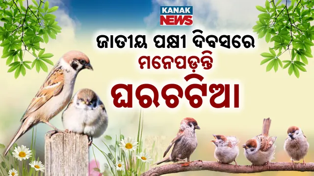 18.National Bird Day PKG Rajesh