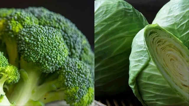 broccoli-vs-patta