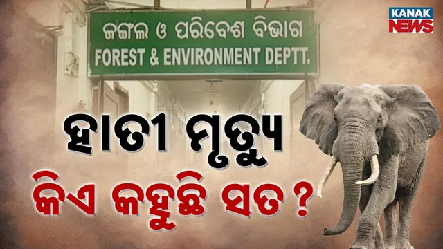 Elephant Death issue