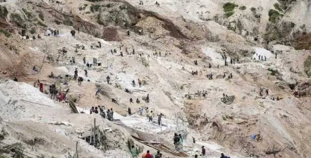 31bbs_1_31012026_111