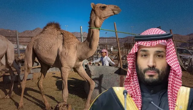 05bbs_47_05022026_111