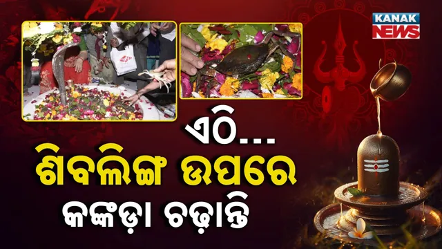 CRAB OFFERING TO SHIVLING