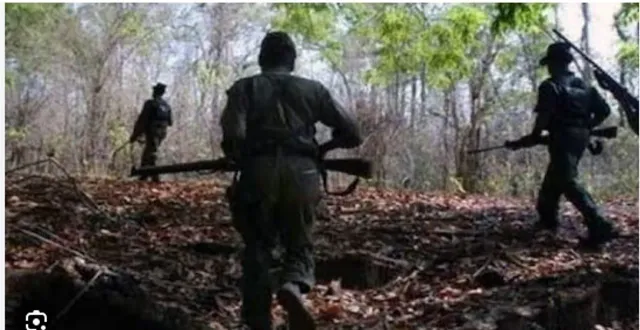 maobadi-2026-02-23-08-44-40