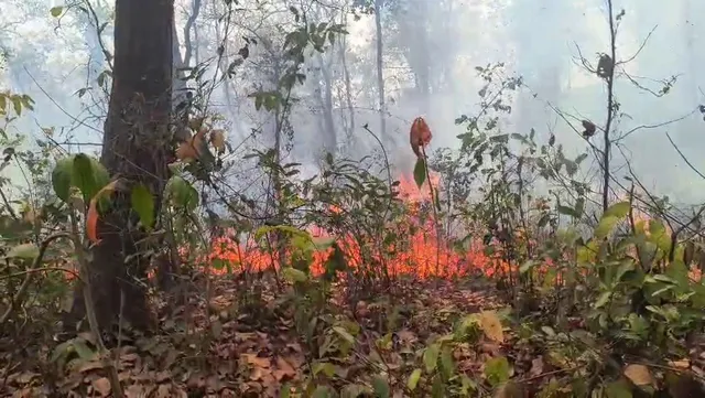 WhatsApp Image 2026-03-09 at 1.12.03 PM