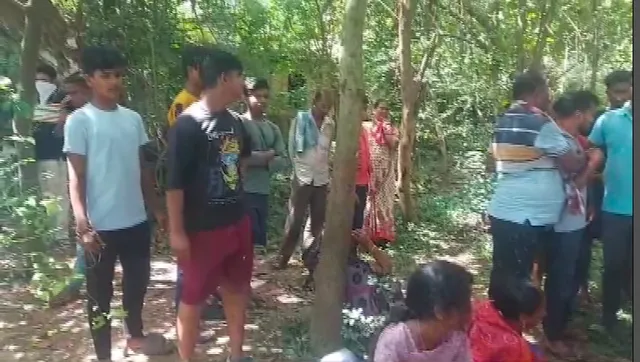 Screen Shot 2024-10-11 at 12.49.45 PM