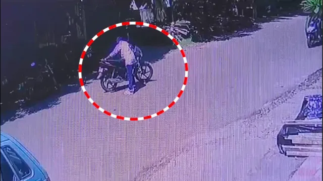 Screen Shot 2024-10-11 at 12.25.27 PM